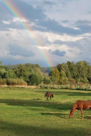 Фото Фермерские дома Agroturystyka Mętno 18 г. Mętno 1