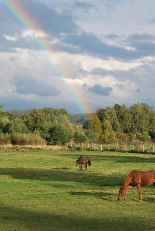 Фото Фермерские дома Agroturystyka Mętno 18 г. Mętno